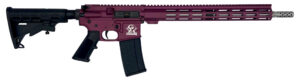 Great Lakes Firearms GL15223SSCHY AR-15 223 Wylde 16" Stainless 30+1, Black Cherry Rec, Black Stock & Grip
