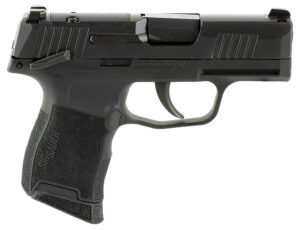 Sig Sauer 365380BSSMSMA P365  380 10+1 3.10" Nitron
