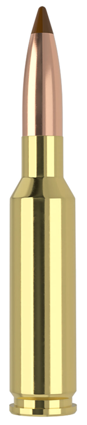 Nosler 61053 6.5x55Swedish 140gr Ballistic Tip 20 Per Box/10 Case