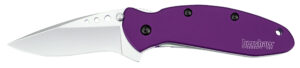 Kershaw 1620PUR Scallion 2.40" Folding Drop Point Plain Bead Blasted 420HC SS Blade Purple Anodized Aluminum Handle Includes Pocket Clip