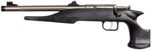 Chipmunk 40103 Hunter  Youth Frame 22 LR Single Shot 9" Threaded Stainless Steel Barrel, Black Laminate Frame
