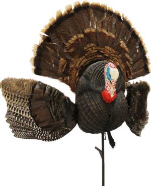 MOJO SCOOT N SHOOT MAX TURKEY - DECOY